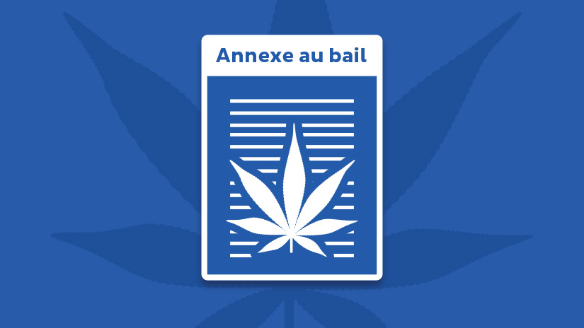 Nouveau : Téléchargez les documents avec les mentions cannabis