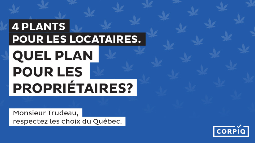 Culture de cannabis à domicile : la CORPIQ appelle à la mobilisation