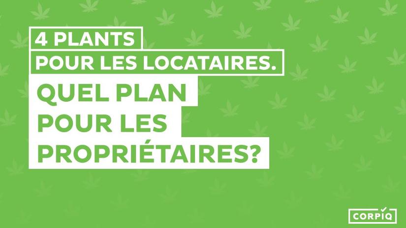 Cannabis : appel à la mobilisation