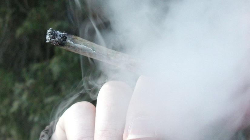 Consommer du cannabis médicinal ne donne pas tous les droits