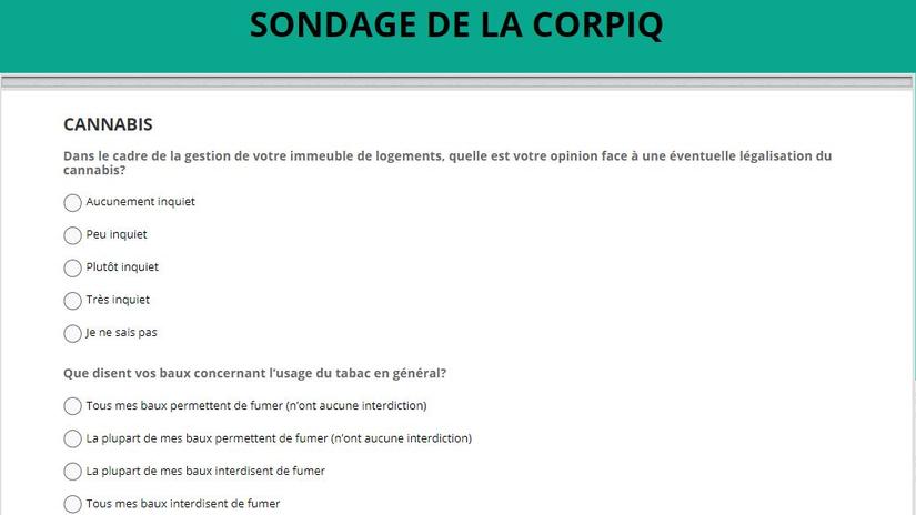 Sondage exclusif sur le cannabis : l’inquiétude des propriétaires grimpe