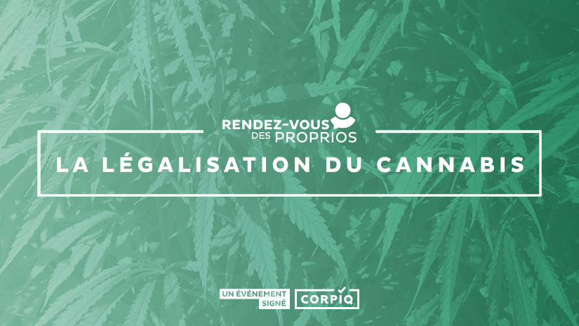 Légalisation du cannabis : êtes-vous prêt?