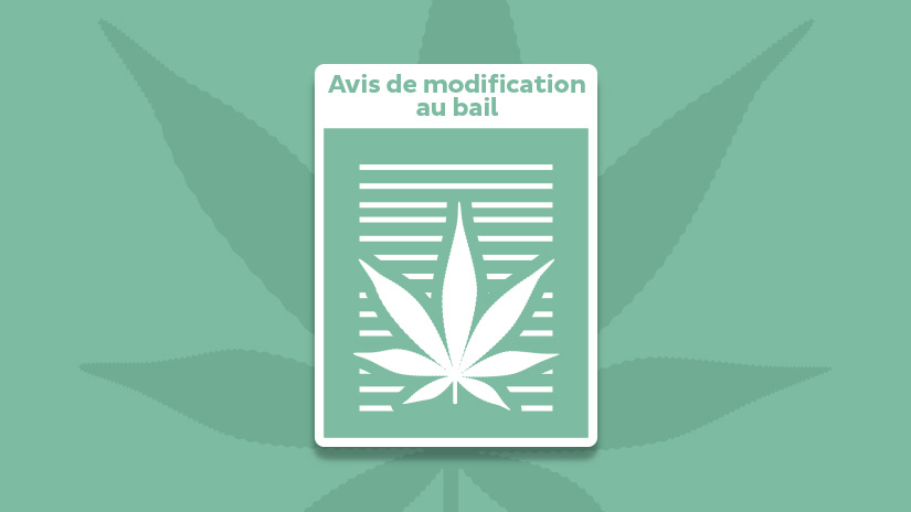 Téléchargez l’avis de modification au bail interdisant le cannabis