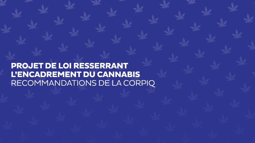 Découvrez les recommandations de la CORPIQ concernant le resserrement de l’encadrement du cannabis