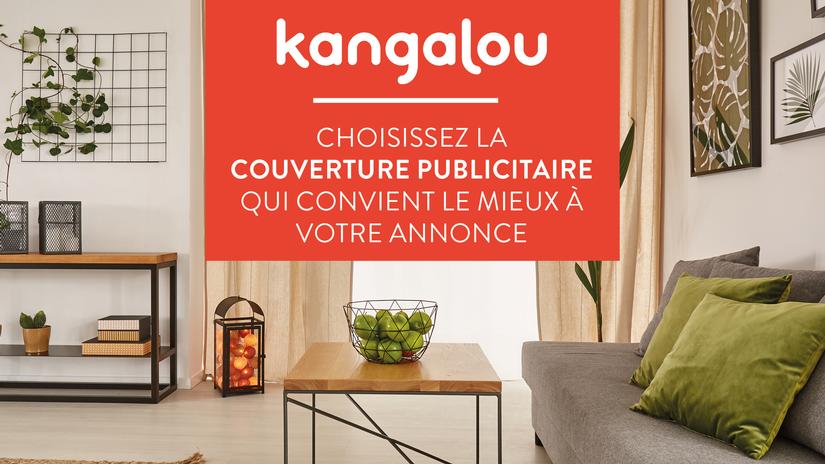 Choisissez la couverture publicitaire qui convient le mieux à votre annonce