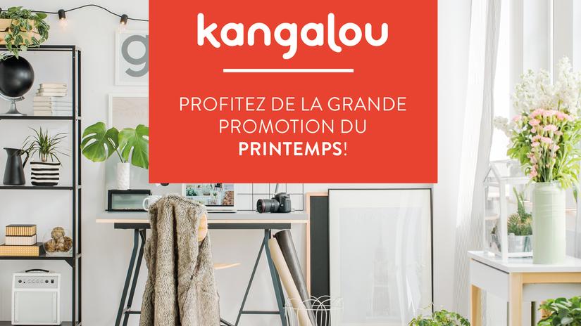 Profitez de la grande promotion du printemps!