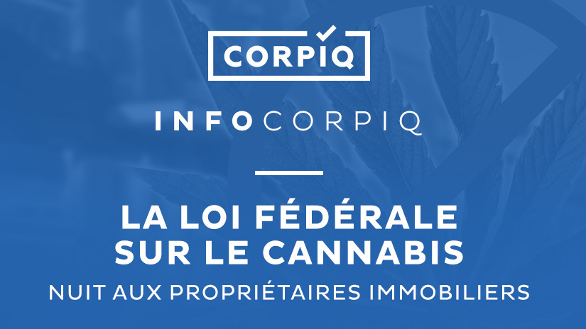 La loi fédérale sur le cannabis nuit aux propriétaires immobiliers