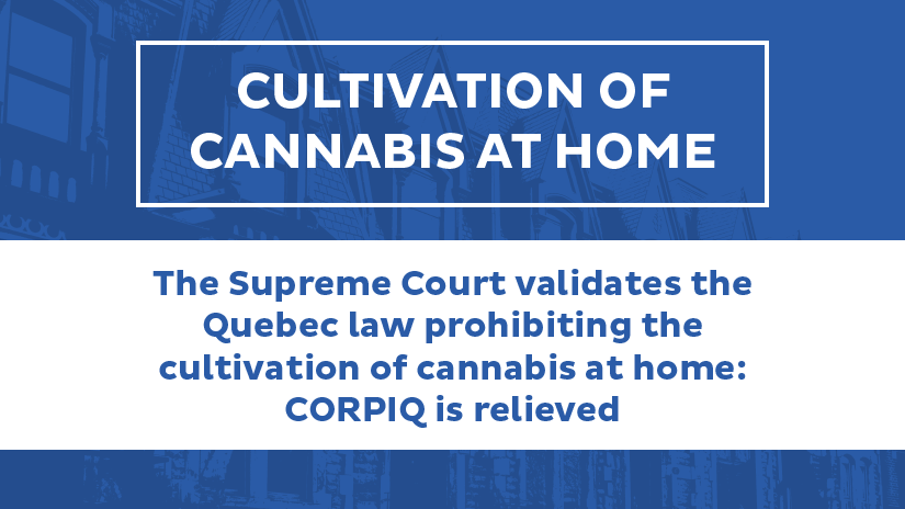 CORPIQ relieved by Supreme Court decision on cannabis cultivation