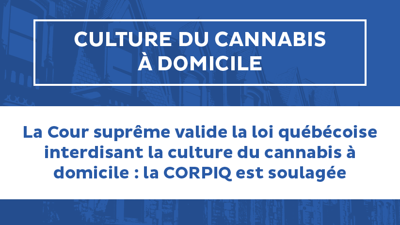 La Cour suprême a rendu sa décision sur la culture du cannabis : la CORPIQ est soulagée