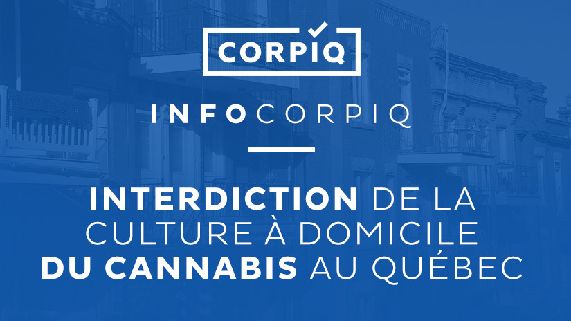 Interdiction de la culture à domicile du cannabis au Québec